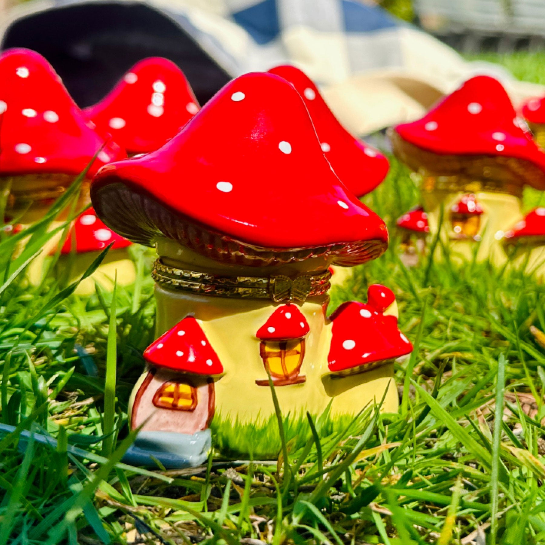 A group of Mushroom Trinket Boxes placed on the grass, hand-painted ceramic collection
