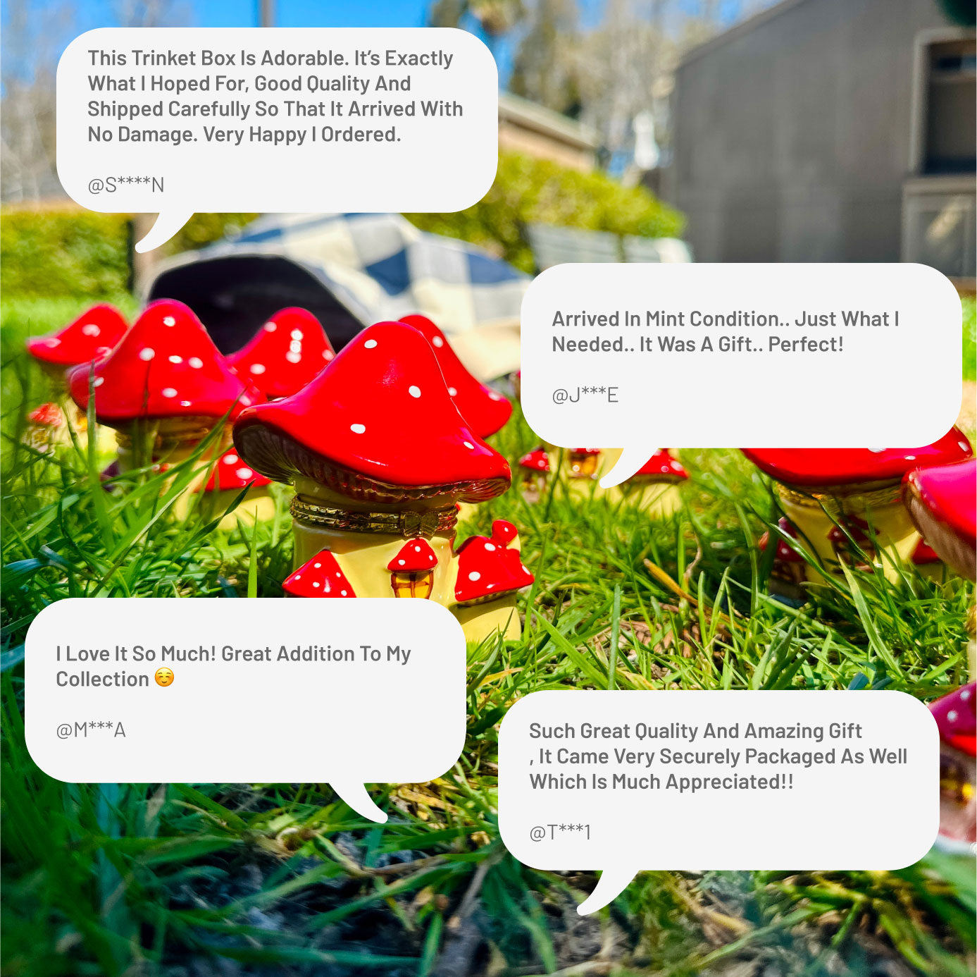 Mushroom Trinket Box displayed in a natural setting, surrounded by leaves with customer review cards nearby