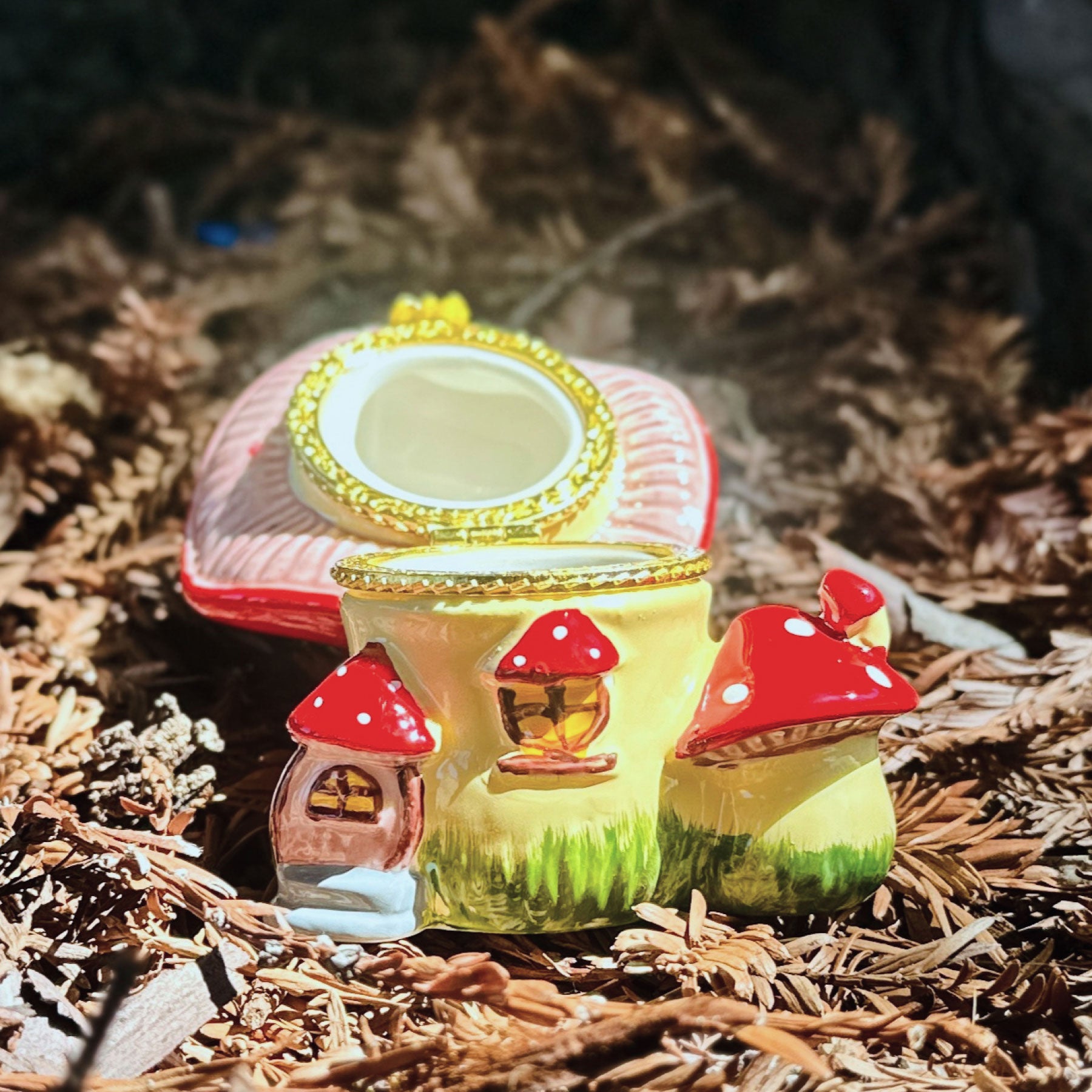 Mushroom Trinket Box with lid open in a forest setting, showing interior and scale